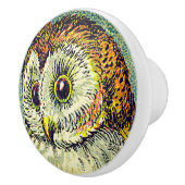  schattig schuur uil sterrenbeeld nacht illustrati keramische knop (Rechts)