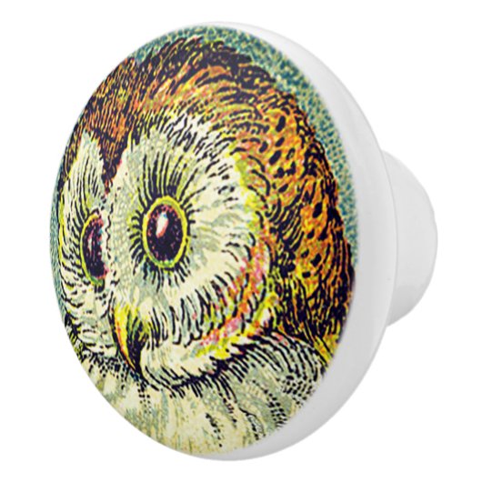  schattig schuur uil sterrenbeeld nacht illustrati keramische knop (Rechts)
