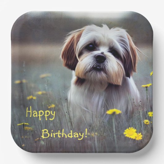Schattig Shih Tzu Papieren Bordje (Voorkant)