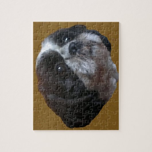 Schattig Shih tzu Rico Legpuzzel (Verticaal)