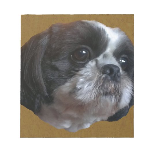 Schattig Shih tzu Rico Notitieblok (Voorkant)