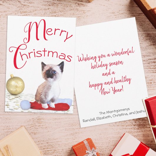 Schattig Siamese katje met kerstmuts Feestdagenkaart