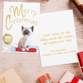 Schattig Siamese Kerstkatje Gouden Ornament Feestdagenkaart