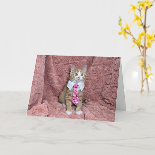 Schattig sinaasappel en wit kitten Louie in een st Kaart (Gele Bloem)