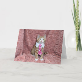 Schattig sinaasappel en wit kitten Louie in een st Kaart