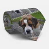 Schattig Sint Bernard Stropdas (Opgerold)