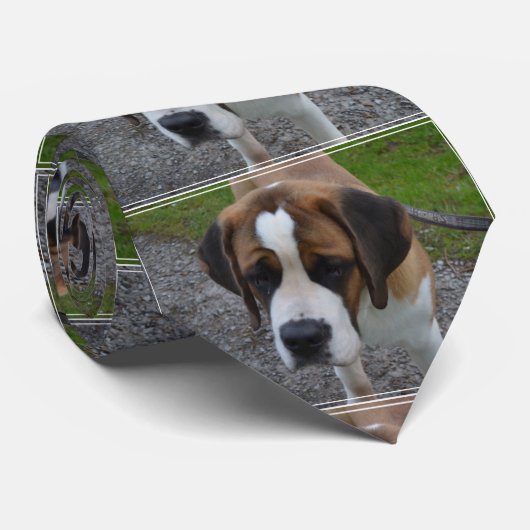 Schattig Sint Bernard Stropdas (Opgerold)