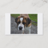 Schattig Sint Bernard Visitekaartje (Achterkant)