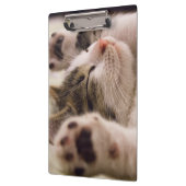 Schattig slaapkeuken klembord (Links)