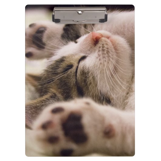 Schattig slaapkeuken klembord (Voorkant)