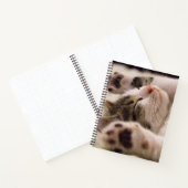 Schattig slaapkitten spiraal notitieboek (Binnen)