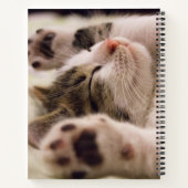 Schattig slaapkitten spiraal notitieboek (Achterkant)