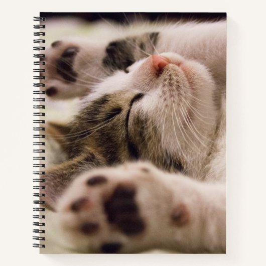 Schattig slaapkitten spiraal notitieboek (Voorkant)