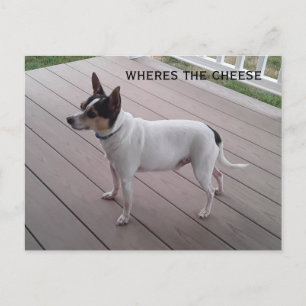 schattig speelgoed vossederlijk briefkaart van chi