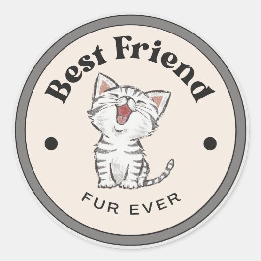 SCHATTIG! Stickers - Beste Vriendenbont ooit - Kat (Voorkant)
