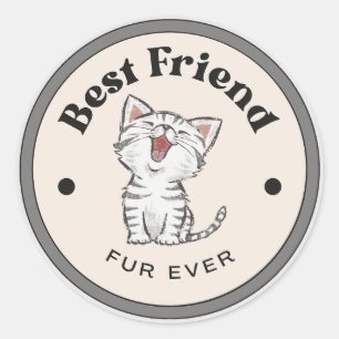 SCHATTIG! Stickers - Beste Vriendenbont ooit - Kat