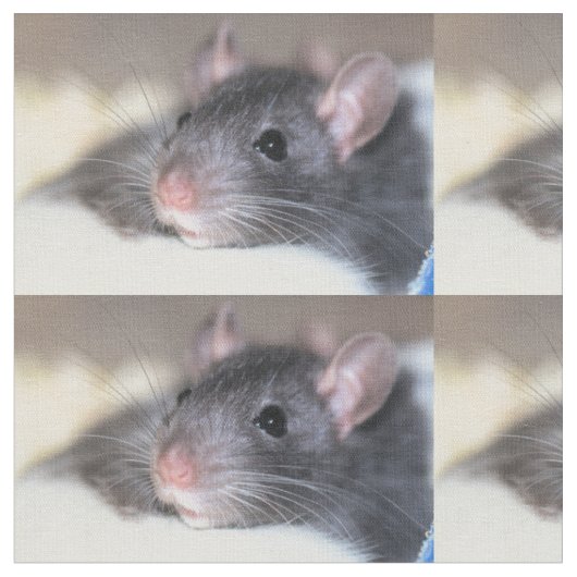 Schattig Stof (Close Up)