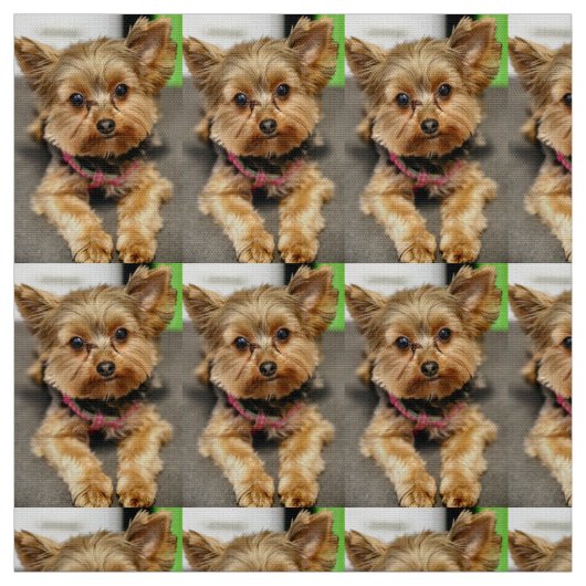 Schattig Stof (Swatch)