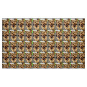 Schattig Stof (Fat Quarter)