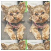 Schattig Stof (Close Up)