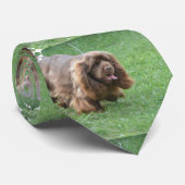 Schattig Sussex Spaniel Stropdas (Opgerold)