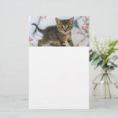 Schattig Tabby kitten kijken verrast Briefpapier (Staand voorkant)