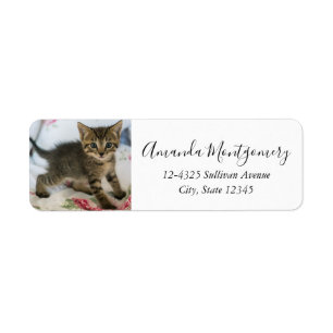 Schattig Tabby kitten kijken verrast Etiket