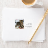 Schattig Tabby kitten kijken verrast Etiket (Insitu)