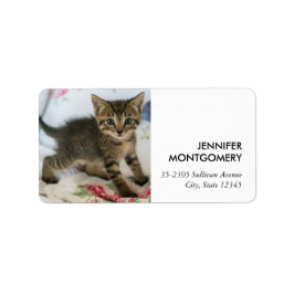 Schattig Tabby kitten kijken verrast Etiket