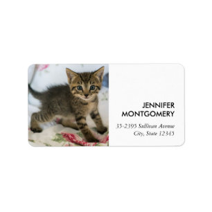 Schattig Tabby kitten kijken verrast Etiket