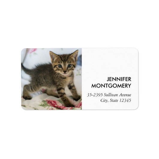 Schattig Tabby kitten kijken verrast Etiket (Voorkant)