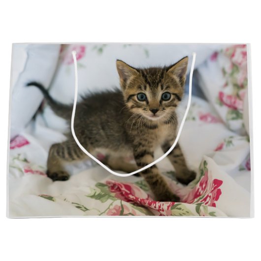 Schattig Tabby kitten kijken verrast Groot Cadeauzakje (Voorkant)