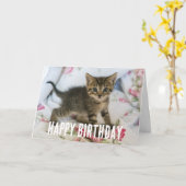 Schattig Tabby kitten kijken verrast Kaart (Gele Bloem)