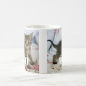 Schattig Tabby kitten kijken verrast Koffiemok (Center)