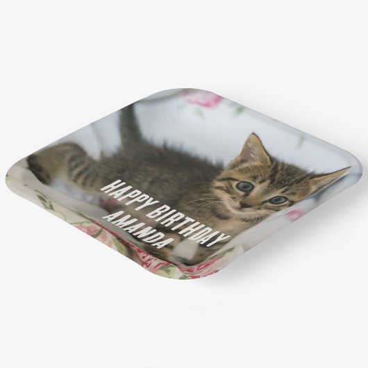 Schattig Tabby Kitten kijken verrast op verjaardag Papieren Bordje (Gebogen)