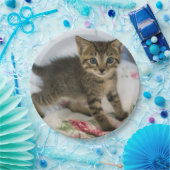 Schattig Tabby kitten kijken verrast Papieren Bordje (Feest)