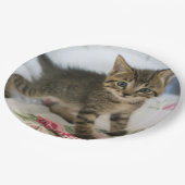 Schattig Tabby kitten kijken verrast Papieren Bordje (Gekanteld)