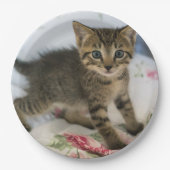 Schattig Tabby kitten kijken verrast Papieren Bordje (Voorkant)