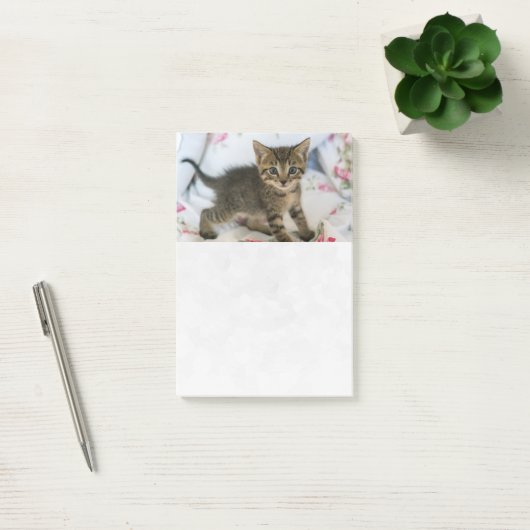 Schattig Tabby kitten kijken verrast Post-it® Notes (Kantoor)