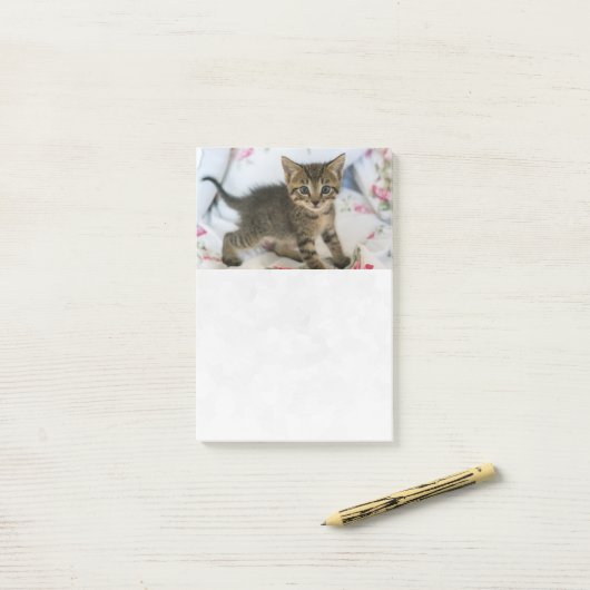 Schattig Tabby kitten kijken verrast Post-it® Notes (Op bureau)