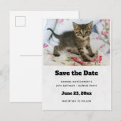 Schattig Tabby Kitten Kijken Verrast Save the Date Uitnodiging Briefkaart (Voorkant / Achterkant)