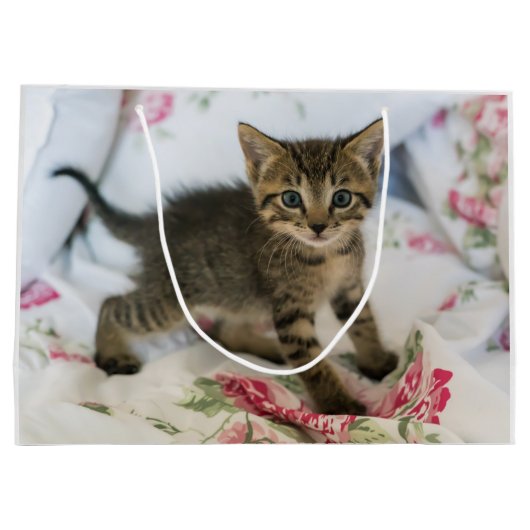Schattig Tabby kitten kijken verrast verjaardag Groot Cadeauzakje (Achterkant)