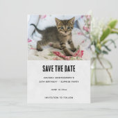 Schattig Tabby kitten kijken verrast verjaardag Save The Date (Staand voorkant)