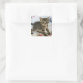 Schattig Tabby kitten kijken verrast Vierkante Sticker (Tas)