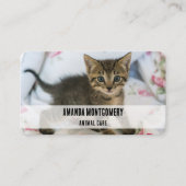 Schattig Tabby kitten kijken verrast Visitekaartje (Voorkant)