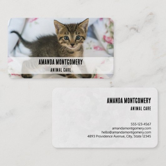 Schattig Tabby kitten kijken verrast Visitekaartje (Voorkant / Achterkant)