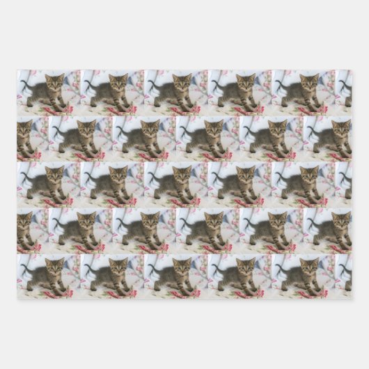 Schattig Tabby kitten op zoek verrast patroon Inpakpapier Vel (Voorkant 2)