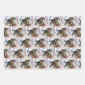Schattig Tabby kitten op zoek verrast patroon Inpakpapier Vel (Voorkant)