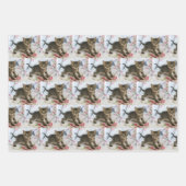 Schattig Tabby kitten op zoek verrast patroon Inpakpapier Vel (Voorkant 3)