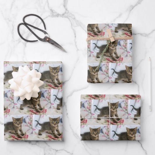 Schattig Tabby kitten op zoek verrast patroon Inpakpapier Vel (Voorkant)